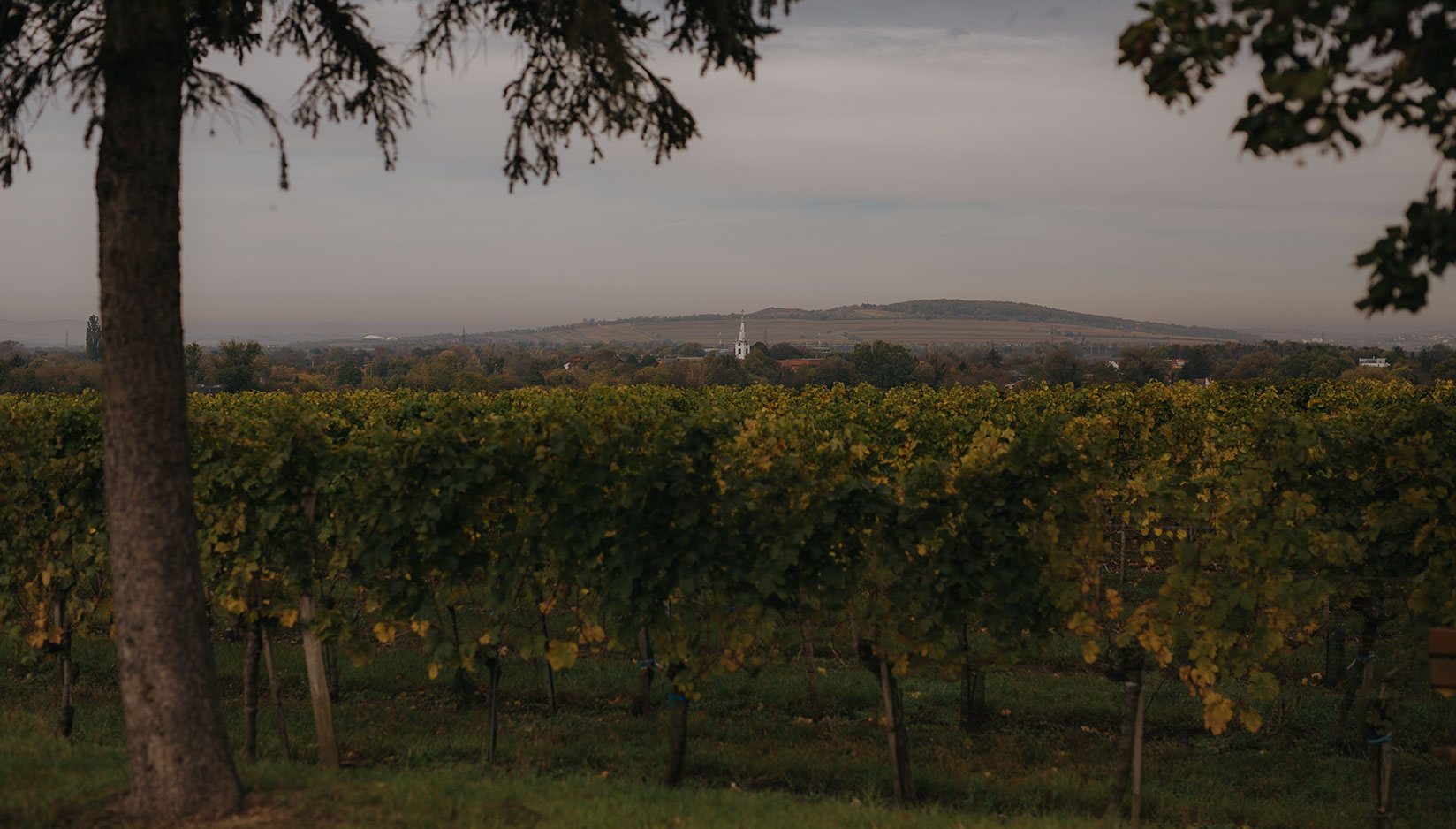 Panoramablick über das Wulkatal