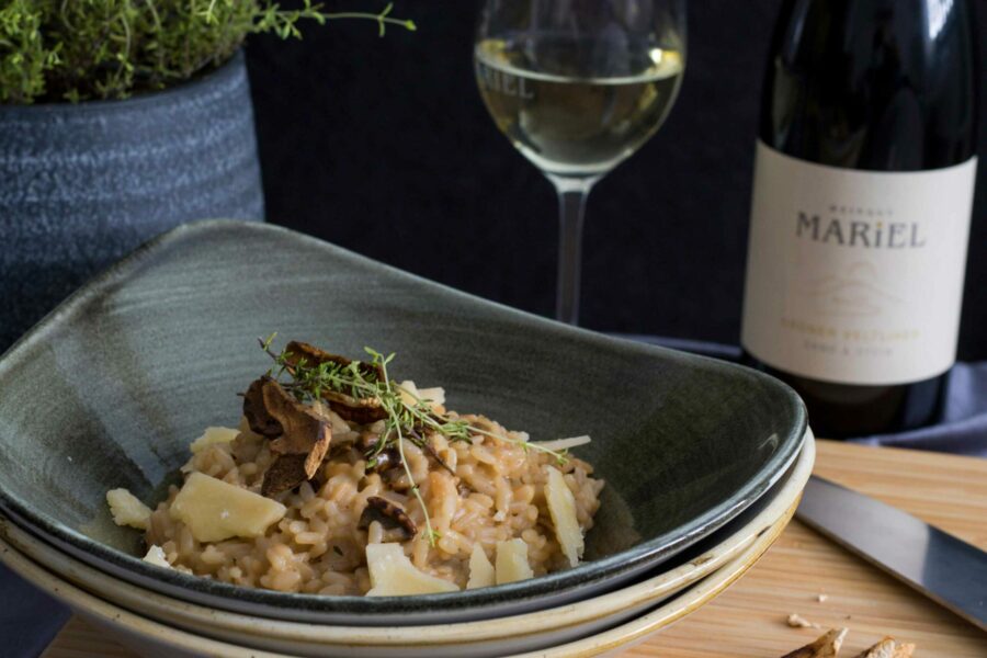 Überblick Food Pairing Grüner Veltliner mit Steinpilzrisotto